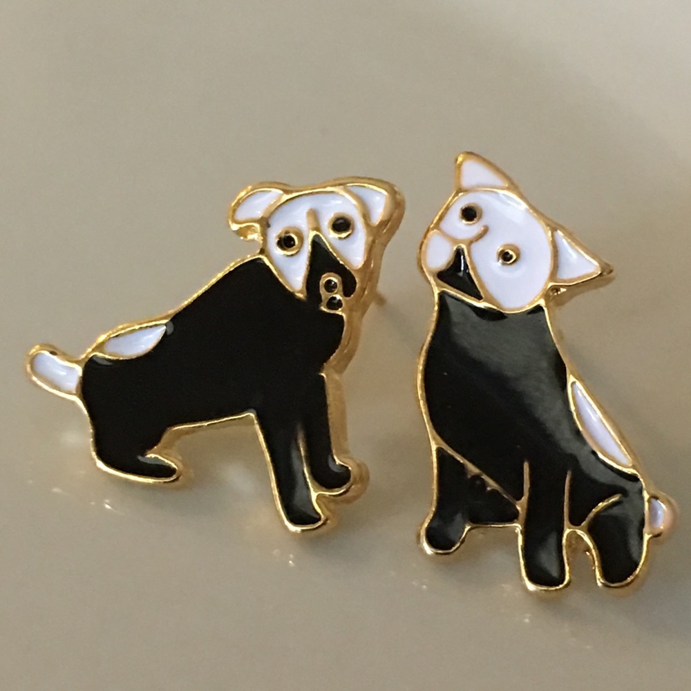 Cute puppy dogs 🐕 black with white faces